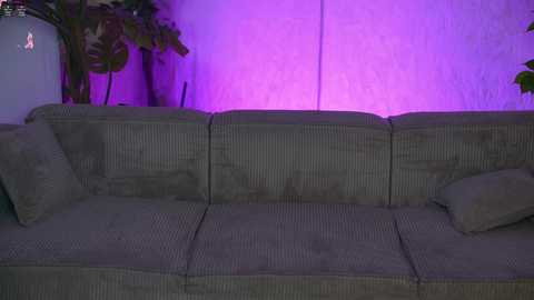 kira0541 free recording from 2025-05-24 21:58:00