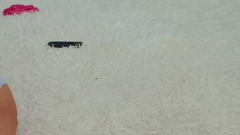 littlegreekflower free recording from 