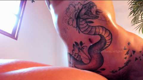 artgea free recording from 