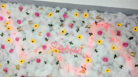 babyaylin free recording from 2025-05-25 09:01:00