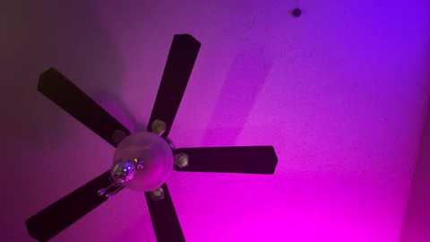 brownnnjuicy free recording from 2025-05-25 21:40:00