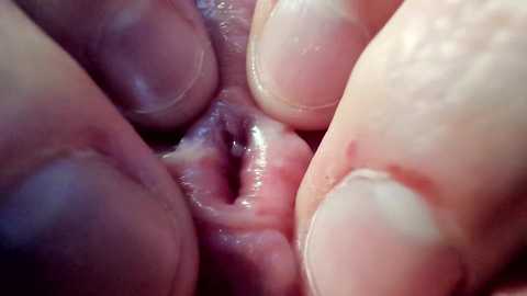 courtney_luv free recording from 2025-05-25 17:38:00