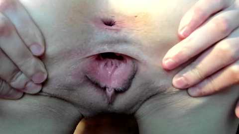 courtney_luv free recording from 2025-05-25 18:20:00