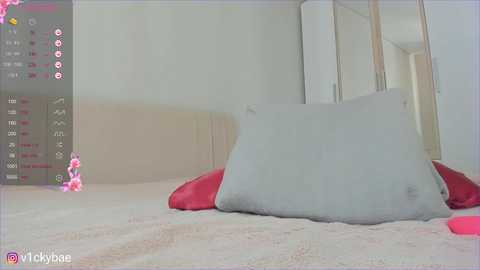 sweety_vikky free recording from 2025-05-25 05:20:00