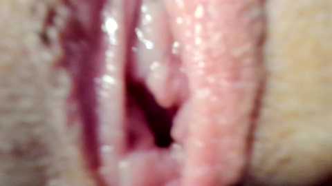 courtney_luv free recording from 2025-05-26 18:25:00