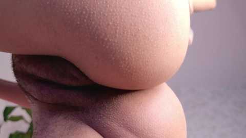 luneva free recording from 