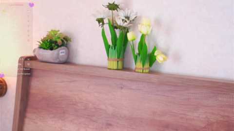 pafosstar free recording from 2025-05-26 10:44:00