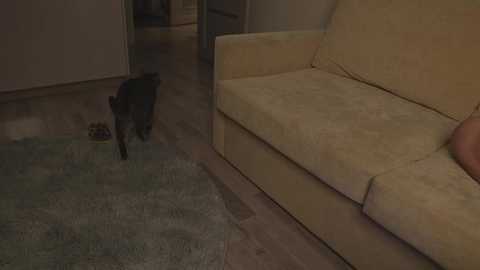 playwithmil free recording from 2025-05-26 17:31:00