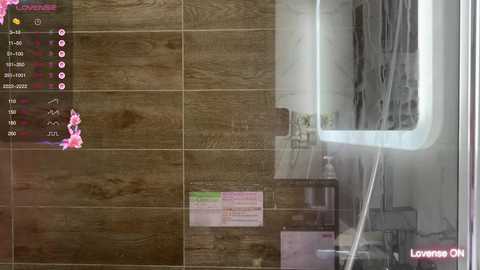 roselyn_rose free recording from 2025-05-26 20:28:00