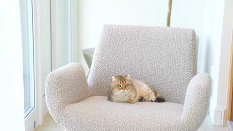 eva_fashionista free recording from 2025-05-27 07:59:00