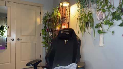 sunniedayz free recording from 2025-05-27 18:22:00