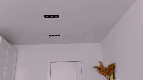 elannand free recording from 2025-05-28 09:39:00