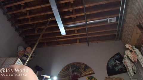 iris_world free recording from 