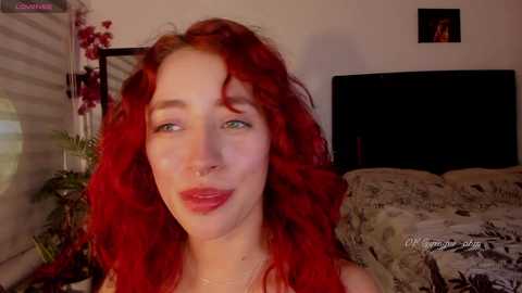 nebamazee free recording from 