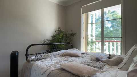 novamills free recording from 2025-05-28 03:05:00