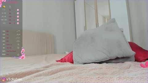 sweety_vikky free recording from 2025-05-28 04:59:00