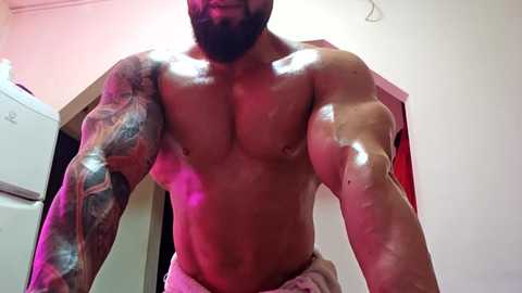 adonis_msc free recording from 