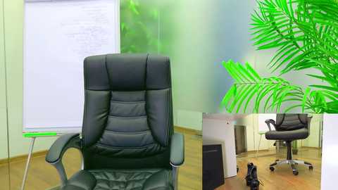 babesgowild free recording from 