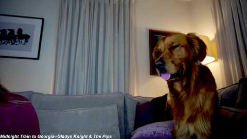 x_lily_x free recording from 