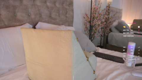 alexxa_dz free recording from 2025-05-30 05:27:00