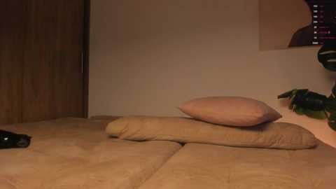 anaonasis free recording from 2025-05-30 06:08:00