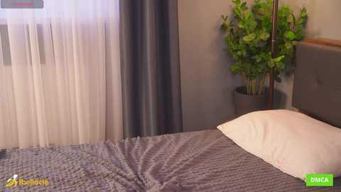 bellacle free recording from 