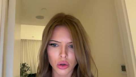 mishapalmer free recording from 2025-05-30 08:41:00