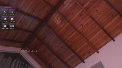 nicdani_1 free recording from 2025-05-30 04:45:00