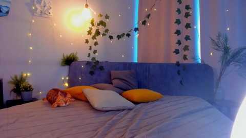 quennacindy free recording from 