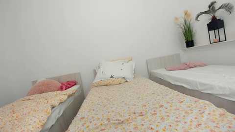 ehotlovea free recording from 2025-05-31 04:37:00