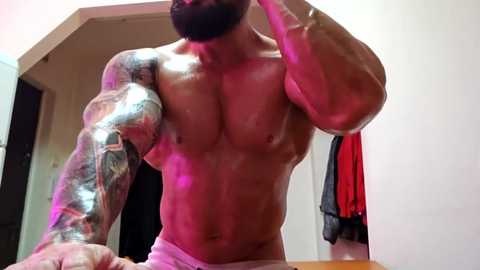 adonis_msc free recording from 