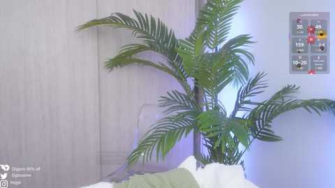 gigi_ulala free recording from 2025-06-01 17:25:00