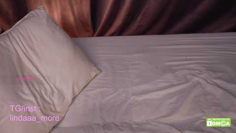 linda_more free recording from 2025-06-01 01:18:00