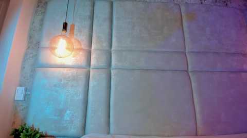 milyy_vermont free recording from 