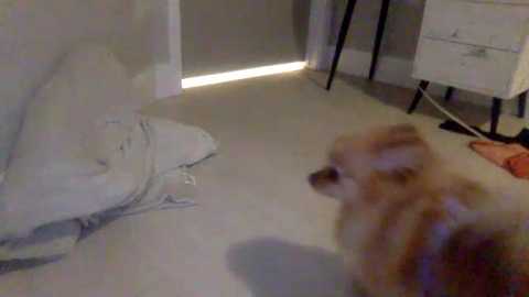 _natycutei19 free recording from 