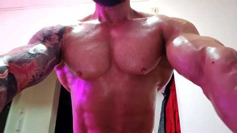 adonis_msc free recording from 