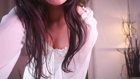 catedeman free recording from 