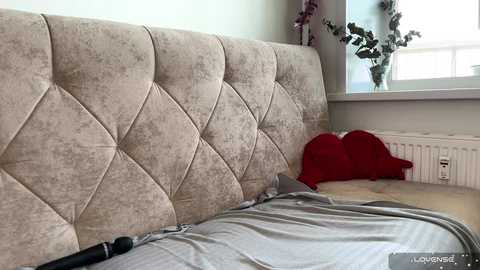 sexstar_l1fstyl3 free recording from 