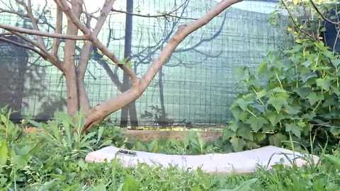 sexy07sexy free recording from 2025-06-02 15:01:00