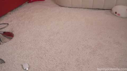 bunnydollstella free recording from 2025-06-03 03:47:00