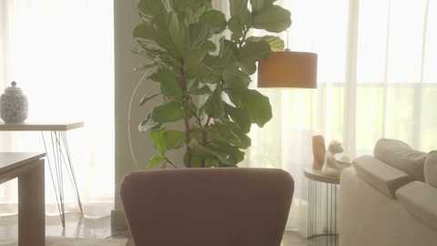 emma_lu1 free recording from 