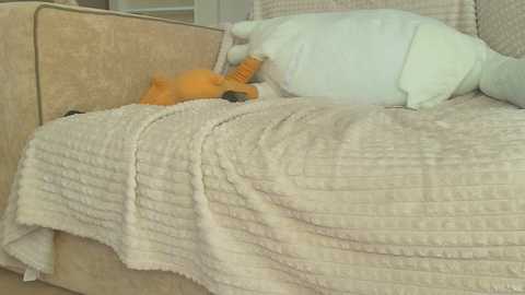 squikt free recording from 2025-06-03 07:20:00