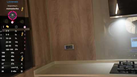 vasillisa free recording from 2025-06-03 18:12:00