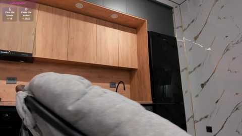 ambermusee free recording from 