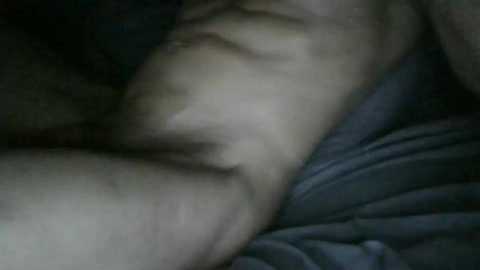 bflexxx_ free recording from 