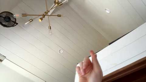 emersoncane free recording from 2025-06-05 19:06:00