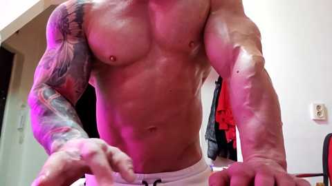 adonis_msc free recording from 