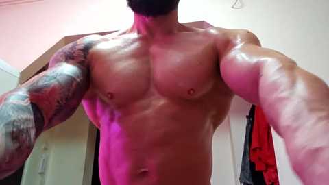 adonis_msc free recording from 