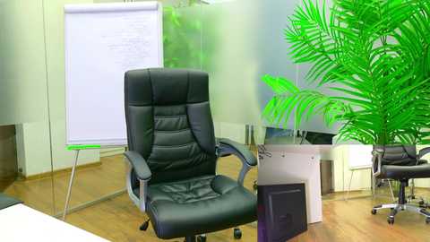 babesgowild free recording from 2025-06-06 07:42:00