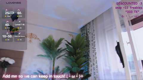 neithcole free recording from 